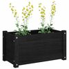 vidaXL Garden Planter Set of 2 Black Solid pine wood Medium Durable