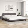 vidaXL Bed Frame Grey