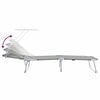 vidaXL Sunlounger Grey Powder-coated steel Single Foldable