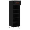 vidaXL Shoe Cabinet Black Engineered Wood, Iron, Faux Leather Medium
