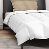 vidaXL Summer Duvet with Pillow 2 pcs White Down Feather