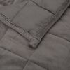 vidaXL Grey Weighted Blanket 100% Brushed Polyester Microfiber Twin