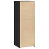 vidaXL Highboard Black Engineered wood Tall Highboard Rectangular