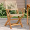vidaXL Garden Chair Set of 2 Beige Solid Acacia Wood, Poly Rattan