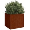 vidaXL Planter Set of 2 Starts as natural metal color, turns rusty