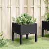 vidaXL Garden Planter Black Polypropylene Medium Garden Planter Square