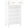 vidaXL Shoe Cabinet White Engineered wood and iron Medium Shoe Cabinet