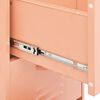 vidaXL Storage Cabinet Pink Steel Standard Adjustable Feet