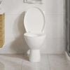 vidaXL Soft-close Toilet Seat with Quick-release Design White