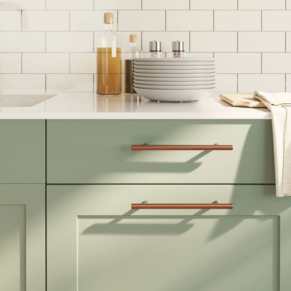 vidaXL Cabinet Handle Set of 10 Bronze Stainless steel Medium Durable