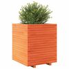 vidaXL Garden Planter Wax Brown Solid Pine Wood Medium Decorative Inlays