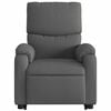 vidaXL Electric Stand Up Massage Recliner Chair Dark Gray