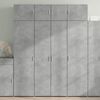 vidaXL Storage Cabinet Concrete Grey Engineered Wood Tall