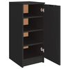 vidaXL Shoe Cabinet Black 11.8x13.8x27.6" Engineered Wood