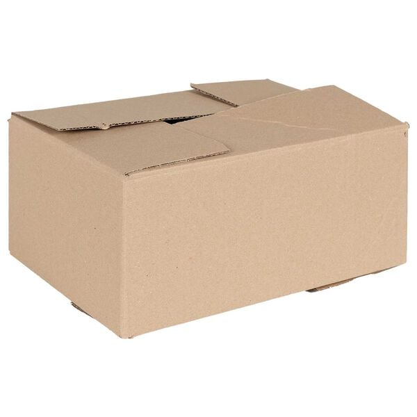 vidaXL Folding Box 50 pcs Natural 11.81 x 8.46 x 5.51 in Cardboard