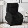 vidaXL Electric Stand Up Massage Recliner Chair Black