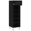 vidaXL Shoe Cabinet Black Engineered wood, iron, aluminum alloy Medium