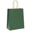vidaXL Paper Bags 50 pcs with Handles Green 18x8x22 cm