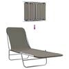 vidaXL Sunlounger Set of 2 Grey Powder-coated steel
