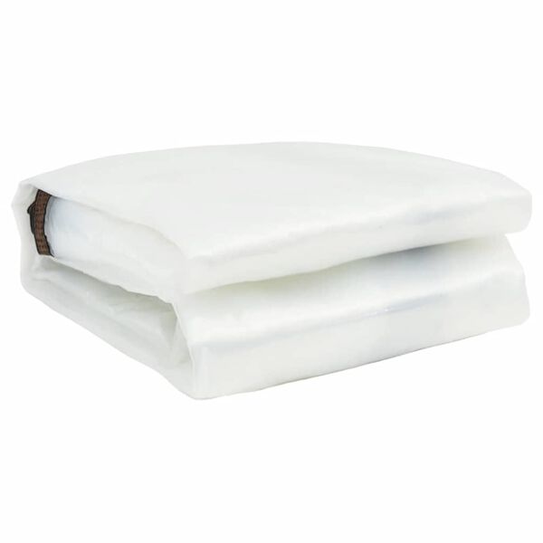 vidaXL Clear Tarpaulin with Eyelets 3.3x26.2' Polyethylene