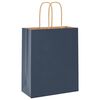 vidaXL Paper Bags 250 pcs with Handles Blue 18x8x22 cm
