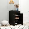 vidaXL Shoe Cabinet Black 23.6x13.8x33.1" Engineered Wood