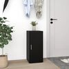 vidaXL Shoe Cabinet Black Engineered Wood Standard Shoe Cabinet