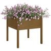vidaXL Garden Planter Set of 2 Honey Brown Solid Pinewood Large