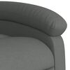 vidaXL Recliner Chair Dark Grey 100% Polyester Fabric, Metal, Plywood
