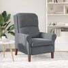 vidaXL armchair Dark gray 76 x 94 x 102 cm Velvet