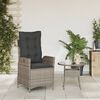 vidaXL Reclining Garden Chair Grey PE rattan, Powder-Coated Steel Standard