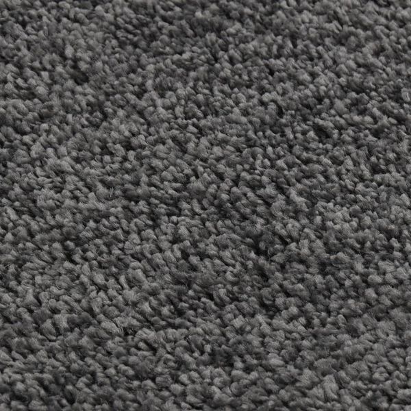 vidaXL Rug Dark Grey 100% Polypropylene 63.0 x 90.6 in Rug Rectangular