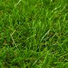 vidaXL Artificial Grass Light green, Dark green, Brown