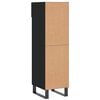 vidaXL Shoe Cabinet Black Engineered Wood, Iron Medium Shoe Cabinet
