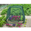 Nature Greenhouse Transparent Polyethylene, Steel Small Collapsible