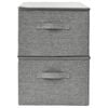 vidaXL Storage Box Set of 2 Gray