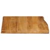 vidaXL Table Top 15.7"x15.7"x1" Live Edge Solid Wood Mango