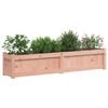 vidaXL Garden Planter Set of 2 Unfinished wood Solid douglas wood Large