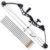 vidaXL Adult Compound Bow with Accessories and Fiberglass Arrows
