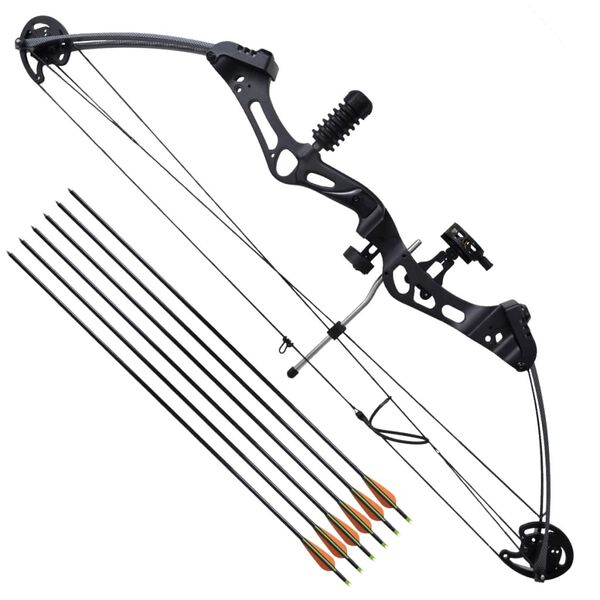 vidaXL Adult Compound Bow with Accessories and Fiberglass Arrows