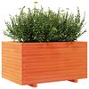 vidaXL Garden Planter Wax Brown Solid Pine Wood Medium Decorative Inlays