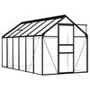 vidaXL Greenhouse Anthracite and Transparent Aluminum and Polycarbonate