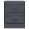 vidaXL Bedside Cabinet Set of 2 Anthracite Steel 13.6 x 15.4 x 17.3 in