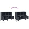 vidaXL Sideboard Anthracite Cold-rolled steel Medium Adjustable Feet