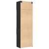 vidaXL Storage Cabinet Black Engineered Wood Large Storage Cabinet