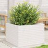 vidaXL Garden Planter White Solid Pine wood 27.6x27.6x18.1 in Durable