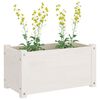 vidaXL Garden Planter Set of 2 White Solid pinewood Medium Durable