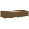 vidaXL Day Bed Honey Brown Solid Pine Wood Twin Day Bed Rectangular