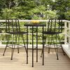 vidaXL Bar Stool Set of 2 Black PE Rattan and Steel Regular Footrest
