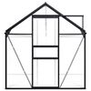 vidaXL Greenhouse Anthracite and Transparent Aluminum and Polycarbonate